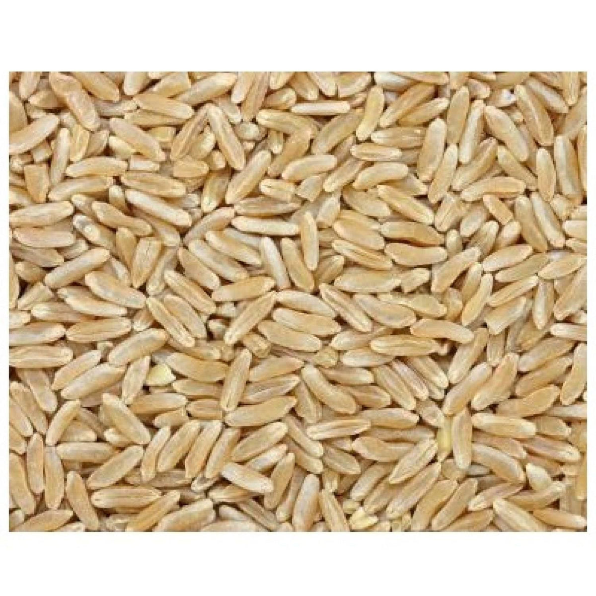 25-lb Bag of 100% Organic Kamut Berries from Bulk Grains