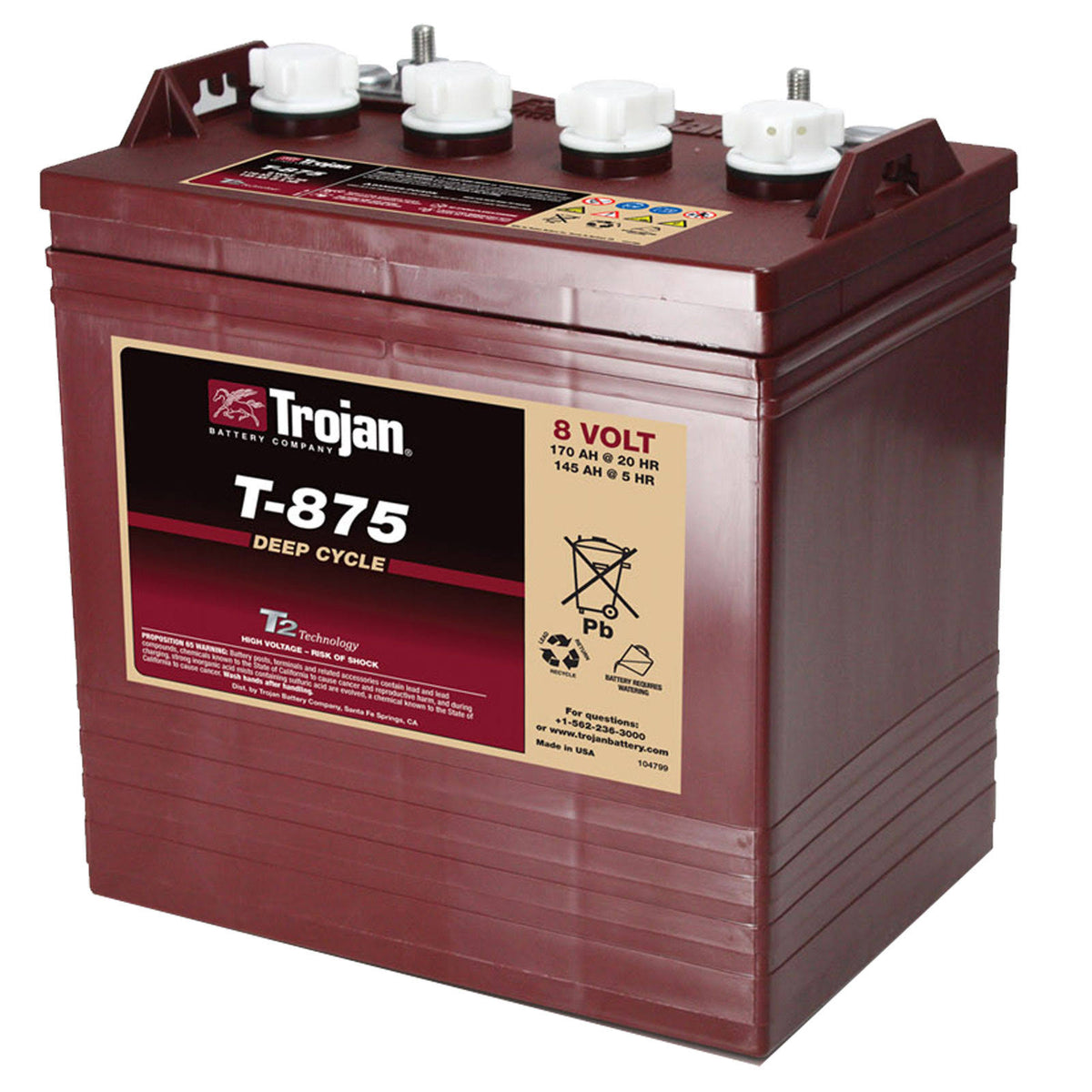 Trojan T-875 GC8 Deep-Cycle Flooded Lead-Acid Battery, 8V 170Ah