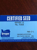 Eretz Kentucky 31 K31 Tall Fescue Grass Seed, State-Certified 3-Lb Bag with No Fillers, Weed Seeds or Other Crop Seeds