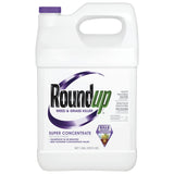 Roundup Grass & Weed Killer Super Concentrate, 1 gal.