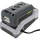Snow Joe iBAT40 Ion EcoSharp Lithium-Ion Batteries, 2-Pack with 40 V and 4.0 Ah Capacity