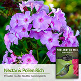 Hummingbird Pollinator Mix Wildflower Seeds by Survival Garden Seeds, Non-GMO Heirloom Varieties with Planting Instructions for Home Vegetable Gardens