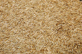 Eretz Kentucky 31 K31 Tall Fescue Grass Seed, State-Certified 3-Lb Bag with No Fillers, Weed Seeds or Other Crop Seeds