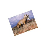 Flambeau Lone Howler Coyote Hunting Decoy