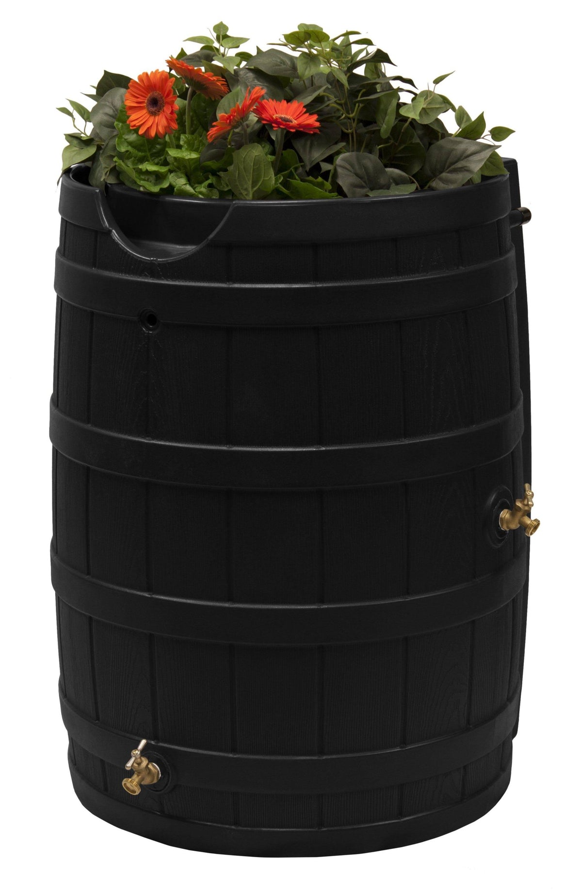 Good Ideas Rain Wizard 65 gal. Rain Barrel with Black Finish