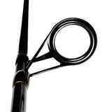 Penn Battle II Spinning Fishing Combo
