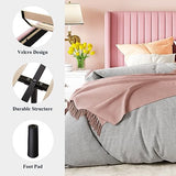 Allewie Queen Velvet Platform Bed with Vertical Channel-Tufted Wingback Headboard, Strong Wooden Slats, No Box Spring Required, Easy Assembly, Black
