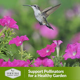 Hummingbird Pollinator Mix Wildflower Seeds by Survival Garden Seeds, Non-GMO Heirloom Varieties with Planting Instructions for Home Vegetable Gardens