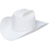 10x Stetson Shasta Cowboy Hats in White Beaver Felt, Size 7 1/4×22