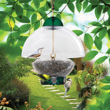 Droll Yankees Big Top Bird Feeder for Backyard Bird Feeding