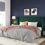 Allewie Queen Velvet Platform Bed with Vertical Channel-Tufted Wingback Headboard, Strong Wooden Slats, No Box Spring Required, Easy Assembly, Black