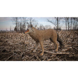 Flambeau Lone Howler Coyote Hunting Decoy