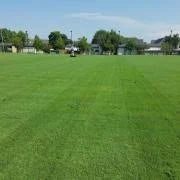 25 lbs of Outsidepride Arden 15 Bermuda Grass Seed