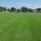 25 lbs of Outsidepride Arden 15 Bermuda Grass Seed