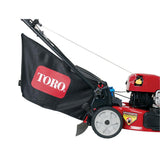 Toro Recycler 22-Inch Self-Propelled Mower with All-Wheel Drive, Personal Pace Variable Speed and Briggs & Stratton Engine