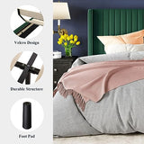 Allewie Queen Velvet Platform Bed with Vertical Channel-Tufted Wingback Headboard, Strong Wooden Slats, No Box Spring Required, Easy Assembly, Black