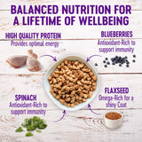 Wellness Complete Health Chicken Recipe, Natural Grain-Free Dry Dog Food in a 24-Pound Bag