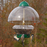 Droll Yankees Big Top Bird Feeder for Backyard Bird Feeding