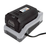 Snow Joe EcoSharp Pro 40V 5.0 Ah Lithium-Ion Battery, IBAT40XR