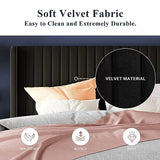 Allewie Queen Velvet Platform Bed with Vertical Channel-Tufted Wingback Headboard, Strong Wooden Slats, No Box Spring Required, Easy Assembly, Black