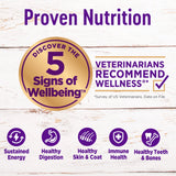 Wellness Complete Health Chicken Recipe, Natural Grain-Free Dry Dog Food in a 24-Pound Bag