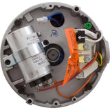 Century A.O. Smith B229SE Pool and Spa Pump Motor, 1-1/2 HP Up-Rated 56J C-Face with 7.2/14.4A and 115/230V