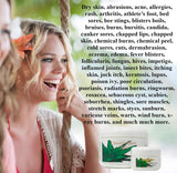 Hawaiian Moon Aloe Cream Set with One 9-Ounce Jar and Two 3/4-Ounce Travel Jars
