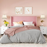 Allewie Queen Velvet Platform Bed with Vertical Channel-Tufted Wingback Headboard, Strong Wooden Slats, No Box Spring Required, Easy Assembly, Black