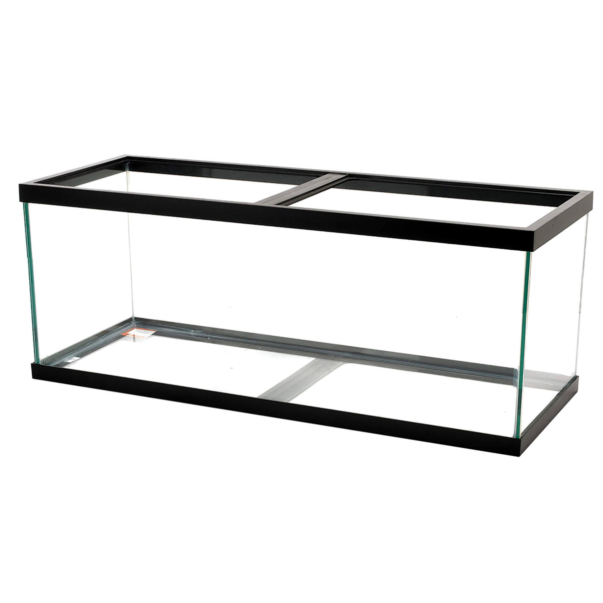 Aqueon 55-Gallon Aquarium Tank