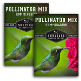 Hummingbird Pollinator Mix Wildflower Seeds by Survival Garden Seeds, Non-GMO Heirloom Varieties with Planting Instructions for Home Vegetable Gardens