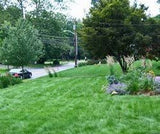 Eco-Lawn Low-Maintenance Grass Seed Blend, 5lb Bag