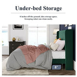 Allewie Queen Velvet Platform Bed with Vertical Channel-Tufted Wingback Headboard, Strong Wooden Slats, No Box Spring Required, Easy Assembly, Black