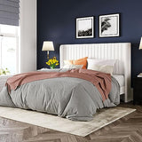 Allewie Queen Velvet Platform Bed with Vertical Channel-Tufted Wingback Headboard, Strong Wooden Slats, No Box Spring Required, Easy Assembly, Black