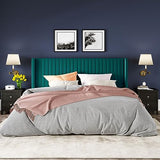 Allewie Queen Velvet Platform Bed with Vertical Channel-Tufted Wingback Headboard, Strong Wooden Slats, No Box Spring Required, Easy Assembly, Black