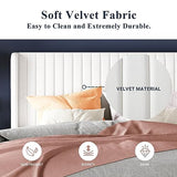 Allewie Queen Velvet Platform Bed with Vertical Channel-Tufted Wingback Headboard, Strong Wooden Slats, No Box Spring Required, Easy Assembly, Black